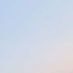 Meet your Posher, Bobby